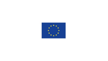 EU flag resized