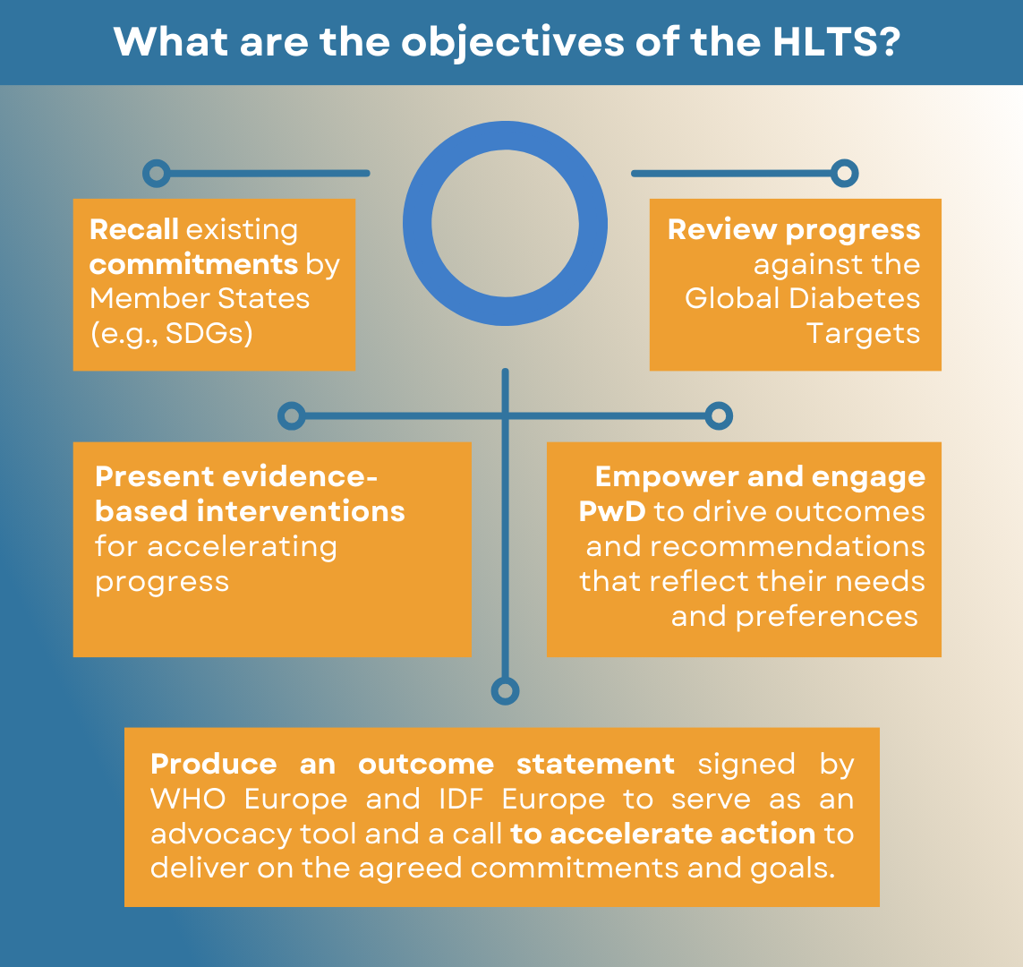https://idf.org/europe/media/uploads/sites/2/2023/10/HLTS-objectives-2.png