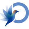 idf.org-logo